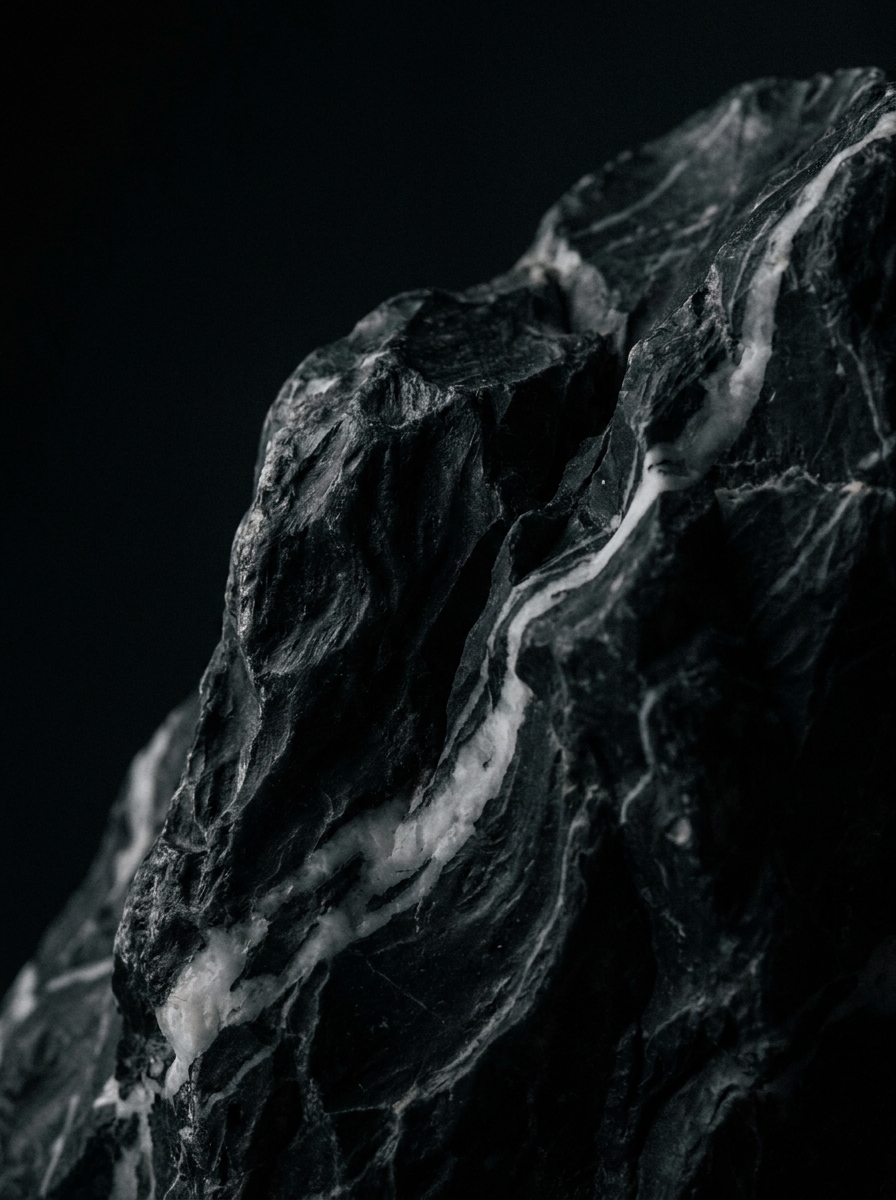 Mármol negro con vetas blancas